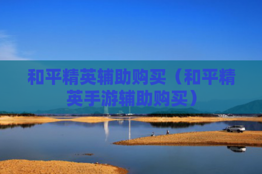 和平精英辅助购买（和平精英手游辅助购买）