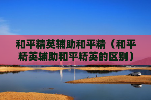 和平精英辅助和平精（和平精英辅助和平精英的区别）