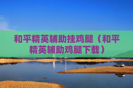 和平精英辅助挂鸡腿（和平精英辅助鸡腿下载）