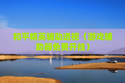 和平精英辅助透视（游戏辅助器免费开挂）
