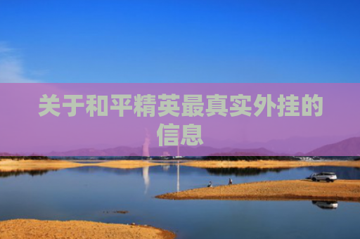 关于和平精英最真实外挂的信息